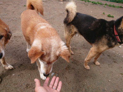 f:id:roukenhome-ann:20190428054022j:plain