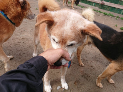f:id:roukenhome-ann:20190428054041j:plain