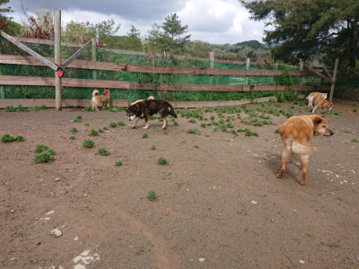 f:id:roukenhome-ann:20190428054051j:plain
