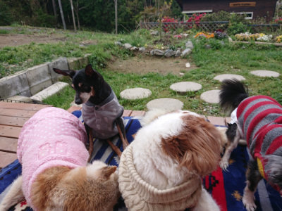 f:id:roukenhome-ann:20190428054124j:plain