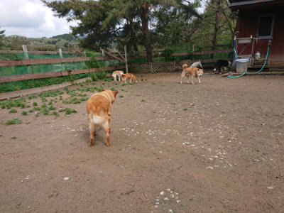 f:id:roukenhome-ann:20190428054129j:plain