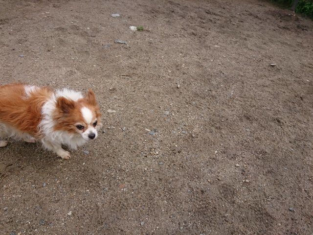 f:id:roukenhome-ann:20190428090451j:plain f:id:roukenhome-ann:20190428090451j:plain