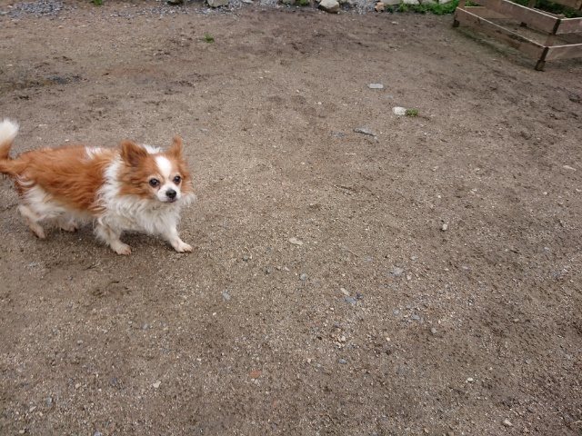 f:id:roukenhome-ann:20190428090456j:plain f:id:roukenhome-ann:20190428090456j:plain