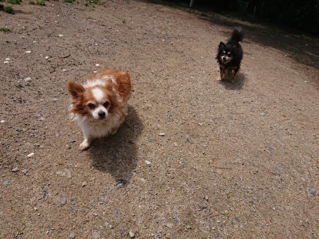 f:id:roukenhome-ann:20190428090501j:plain f:id:roukenhome-ann:20190428090501j:plain