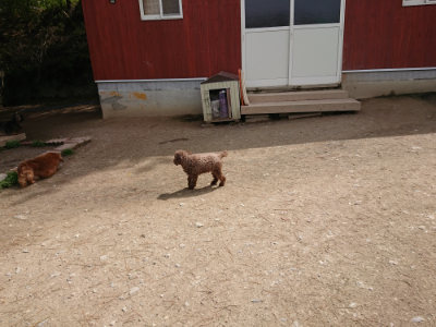 f:id:roukenhome-ann:20190429054114j:plain