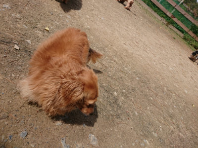 f:id:roukenhome-ann:20190429071738j:plain