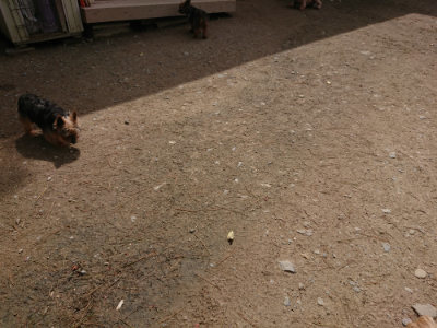 f:id:roukenhome-ann:20190429071844j:plain