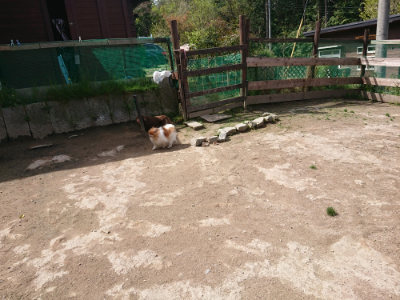 f:id:roukenhome-ann:20190429072014j:plain f:id:roukenhome-ann:20190429072014j:plain