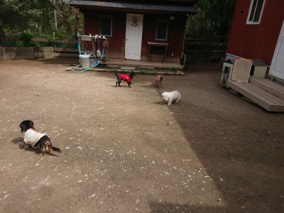 f:id:roukenhome-ann:20190429072030j:plain f:id:roukenhome-ann:20190429072030j:plain