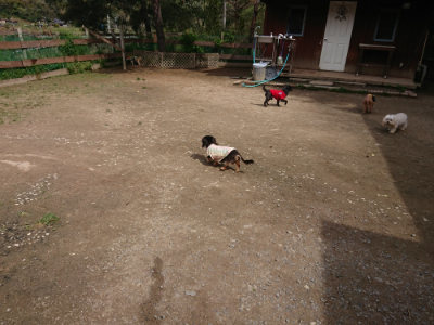 f:id:roukenhome-ann:20190429072049j:plain f:id:roukenhome-ann:20190429072049j:plain