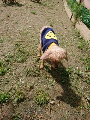 f:id:roukenhome-ann:20190429072055j:plain f:id:roukenhome-ann:20190429072055j:plain