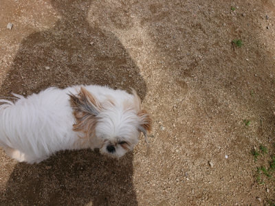 f:id:roukenhome-ann:20190429072125j:plain f:id:roukenhome-ann:20190429072125j:plain