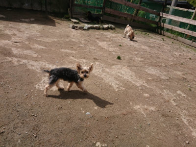 f:id:roukenhome-ann:20190429072136j:plain f:id:roukenhome-ann:20190429072136j:plain