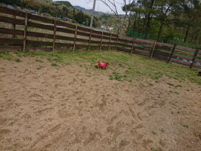 f:id:roukenhome-ann:20190429072148j:plain f:id:roukenhome-ann:20190429072148j:plain