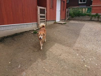f:id:roukenhome-ann:20190429072154j:plain f:id:roukenhome-ann:20190429072154j:plain