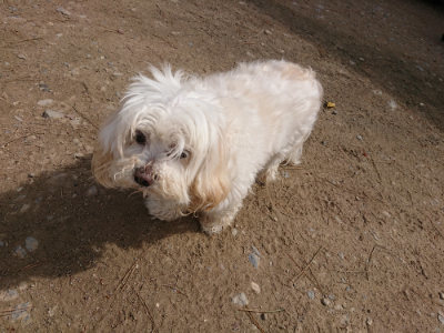 f:id:roukenhome-ann:20190429072200j:plain f:id:roukenhome-ann:20190429072200j:plain