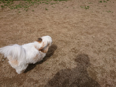 f:id:roukenhome-ann:20190429072217j:plain f:id:roukenhome-ann:20190429072217j:plain