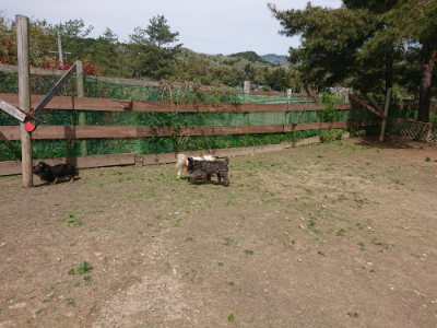 f:id:roukenhome-ann:20190429072312j:plain f:id:roukenhome-ann:20190429072312j:plain