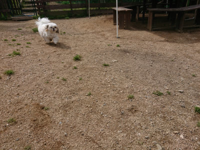 f:id:roukenhome-ann:20190429072318j:plain f:id:roukenhome-ann:20190429072318j:plain