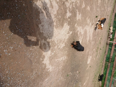 f:id:roukenhome-ann:20190429072327j:plain f:id:roukenhome-ann:20190429072327j:plain