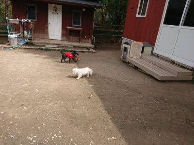 f:id:roukenhome-ann:20190429072331j:plain f:id:roukenhome-ann:20190429072331j:plain