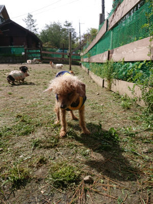 f:id:roukenhome-ann:20190429072343j:plain f:id:roukenhome-ann:20190429072343j:plain
