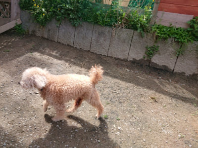 f:id:roukenhome-ann:20190429072347j:plain f:id:roukenhome-ann:20190429072347j:plain