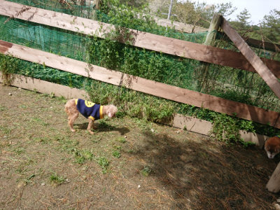 f:id:roukenhome-ann:20190429072354j:plain f:id:roukenhome-ann:20190429072354j:plain