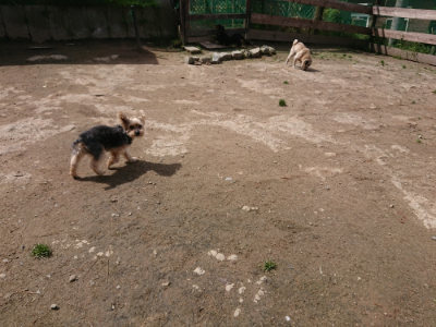 f:id:roukenhome-ann:20190429072359j:plain f:id:roukenhome-ann:20190429072359j:plain
