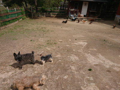 f:id:roukenhome-ann:20190429072403j:plain f:id:roukenhome-ann:20190429072403j:plain