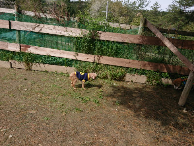 f:id:roukenhome-ann:20190429072414j:plain f:id:roukenhome-ann:20190429072414j:plain