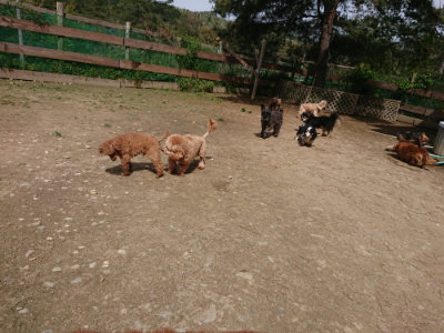 f:id:roukenhome-ann:20190429072419j:plain f:id:roukenhome-ann:20190429072419j:plain