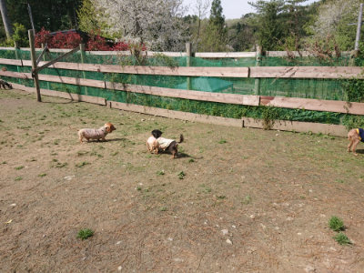 f:id:roukenhome-ann:20190429072435j:plain f:id:roukenhome-ann:20190429072435j:plain
