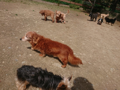 f:id:roukenhome-ann:20190429072440j:plain f:id:roukenhome-ann:20190429072440j:plain