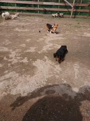 f:id:roukenhome-ann:20190429072450j:plain f:id:roukenhome-ann:20190429072450j:plain