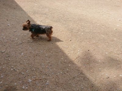 f:id:roukenhome-ann:20190429072513j:plain f:id:roukenhome-ann:20190429072513j:plain