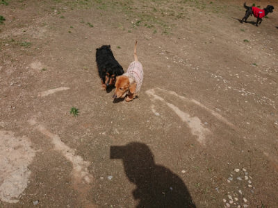 f:id:roukenhome-ann:20190429072534j:plain f:id:roukenhome-ann:20190429072534j:plain