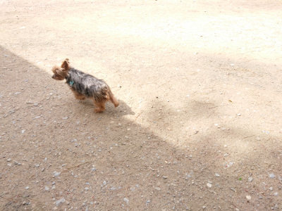 f:id:roukenhome-ann:20190429072543j:plain f:id:roukenhome-ann:20190429072543j:plain
