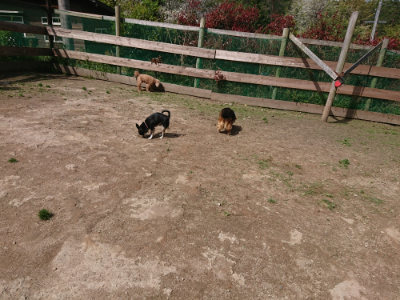 f:id:roukenhome-ann:20190429072554j:plain f:id:roukenhome-ann:20190429072554j:plain