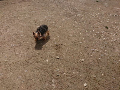 f:id:roukenhome-ann:20190429073338j:plain f:id:roukenhome-ann:20190429073338j:plain