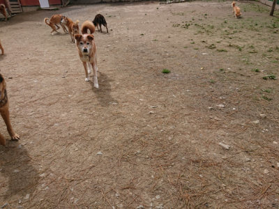 f:id:roukenhome-ann:20190429073343j:plain f:id:roukenhome-ann:20190429073343j:plain