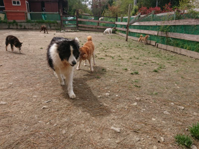 f:id:roukenhome-ann:20190429073413j:plain f:id:roukenhome-ann:20190429073413j:plain