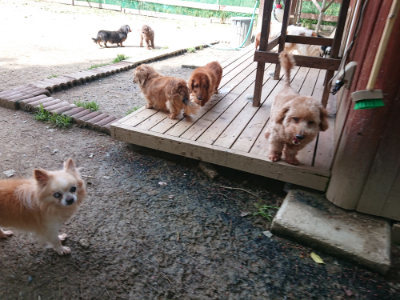 f:id:roukenhome-ann:20190429073442j:plain f:id:roukenhome-ann:20190429073442j:plain
