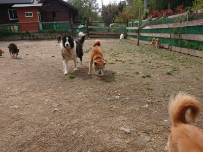 f:id:roukenhome-ann:20190429073446j:plain f:id:roukenhome-ann:20190429073446j:plain