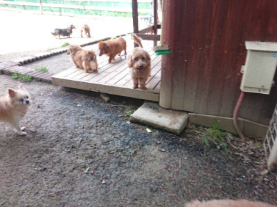 f:id:roukenhome-ann:20190429073500j:plain f:id:roukenhome-ann:20190429073500j:plain
