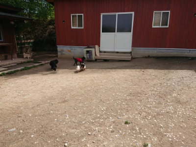 f:id:roukenhome-ann:20190429073530j:plain f:id:roukenhome-ann:20190429073530j:plain