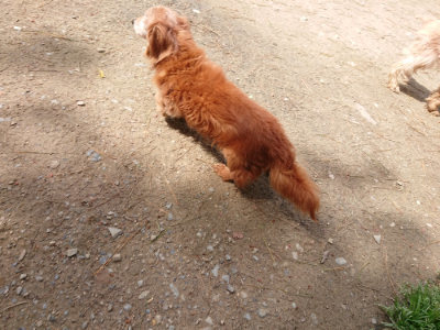 f:id:roukenhome-ann:20190429073535j:plain f:id:roukenhome-ann:20190429073535j:plain