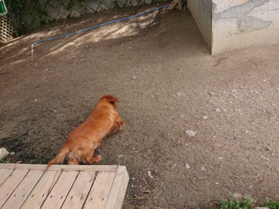 f:id:roukenhome-ann:20190429073550j:plain f:id:roukenhome-ann:20190429073550j:plain