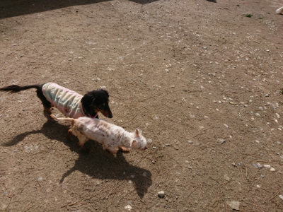 f:id:roukenhome-ann:20190429073625j:plain f:id:roukenhome-ann:20190429073625j:plain