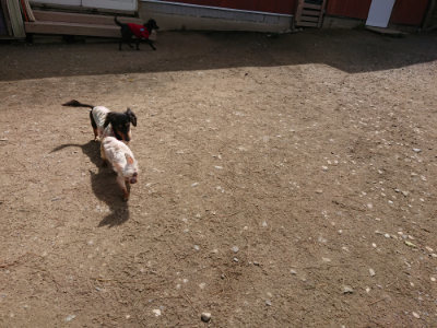 f:id:roukenhome-ann:20190429073645j:plain f:id:roukenhome-ann:20190429073645j:plain